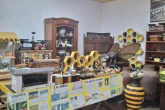 623405686_1520313190097830_3380099890598198437_n