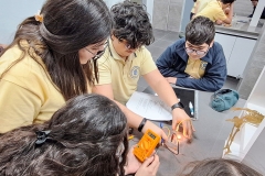 495457230_1272769558185529_1458257738276858296_n